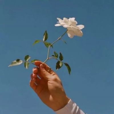 真人斗牛牛手机app下载