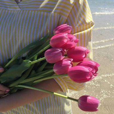 246天天好彩手机app下载