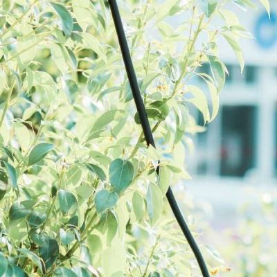 BOB半岛官网入口