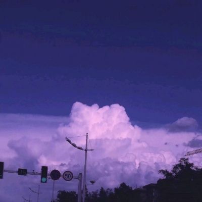 鸭脖app下载手机app下载